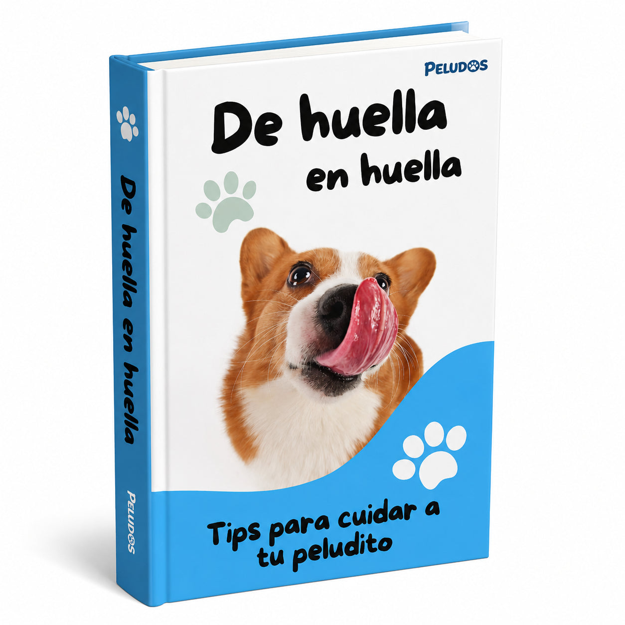 Ebook PupClean