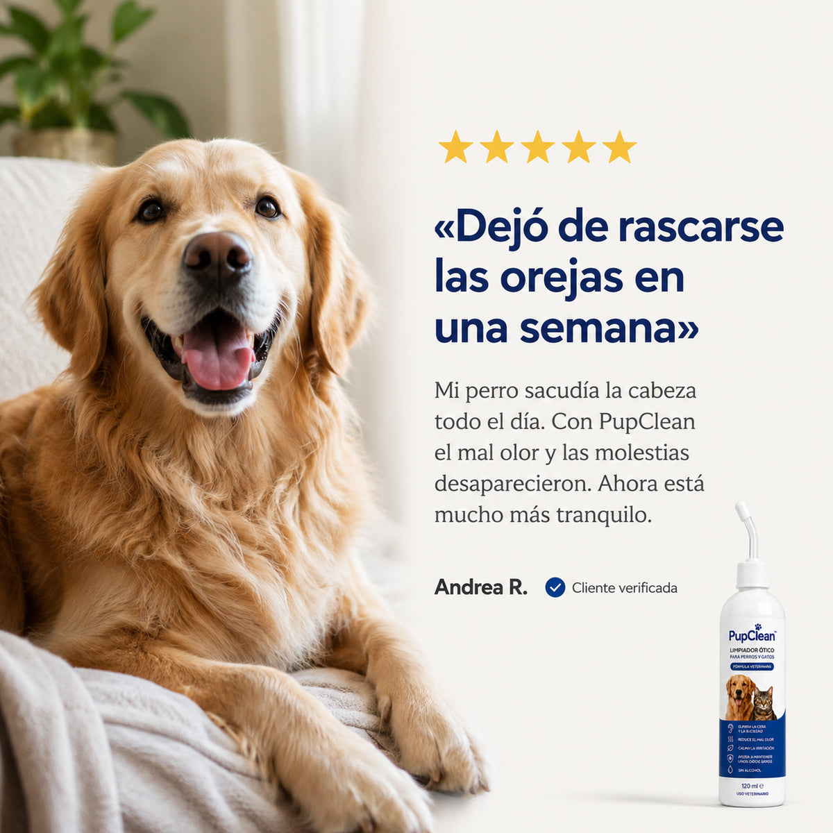 Solución Eficaz para el Canal Auditivo