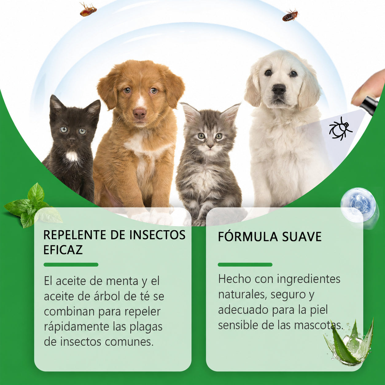Spray natural para la defensa contra pulgas y garrapatas